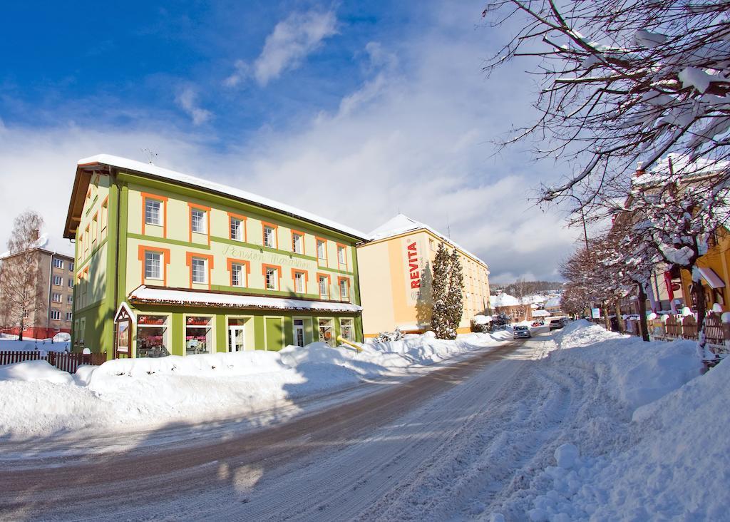 Pension Marathon Vrchlabí Exteriör bild